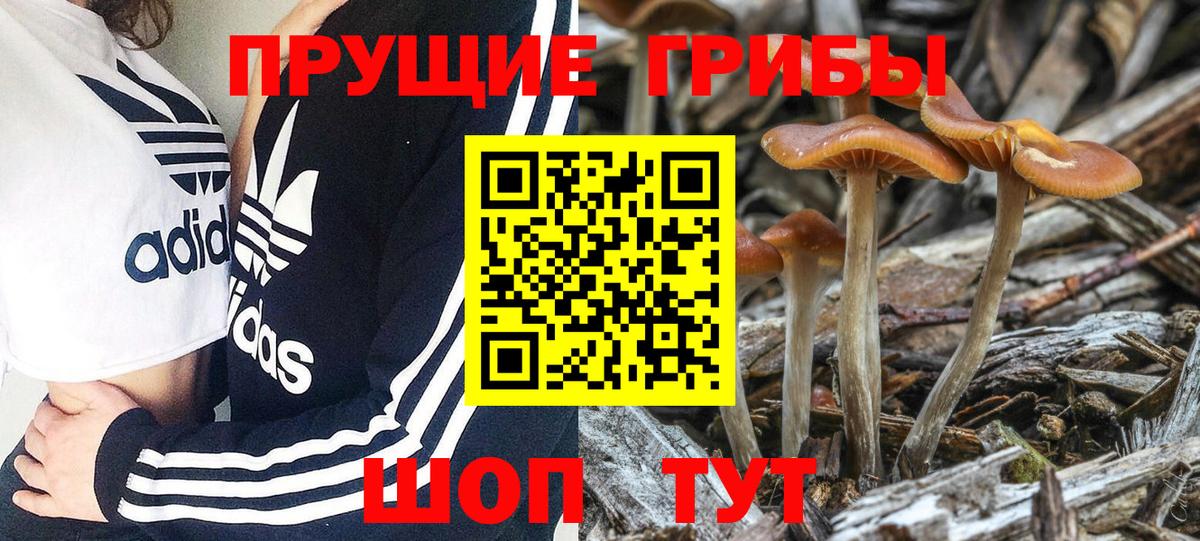 Псилоцибиновые грибы ЛСД  Галлюциногенные грибы прущие грибы  Вход с VPN  Новодвинск 